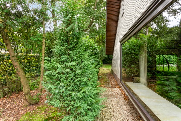 Foto 48 van Chopinlaan 25