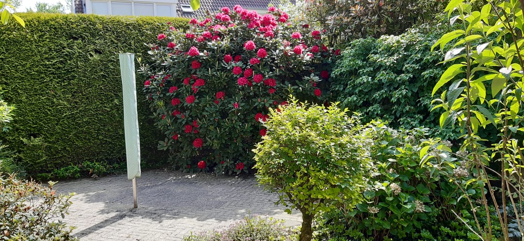 Foto 28 van Aardheuvel 57