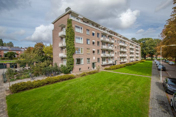 Foto 5 van Lippe Biesterfeldstraat 23-4