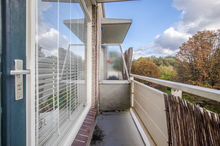 Foto 10 van Lippe Biesterfeldstraat 23-4