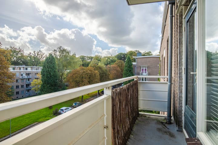 Foto 11 van Lippe Biesterfeldstraat 23-4