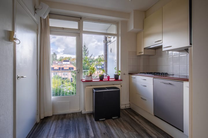 Foto 17 van Lippe Biesterfeldstraat 23-4