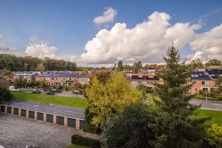 Foto 28 van Lippe Biesterfeldstraat 23-4