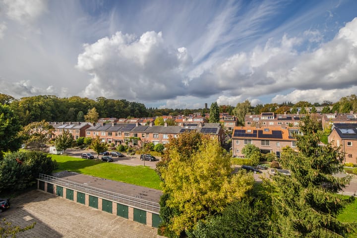 Foto 30 van Lippe Biesterfeldstraat 23-4