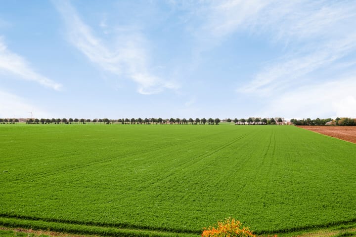 Photo 28 of Kerkstraat 21