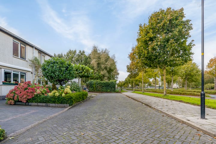 Foto 45 van Bongerd 2