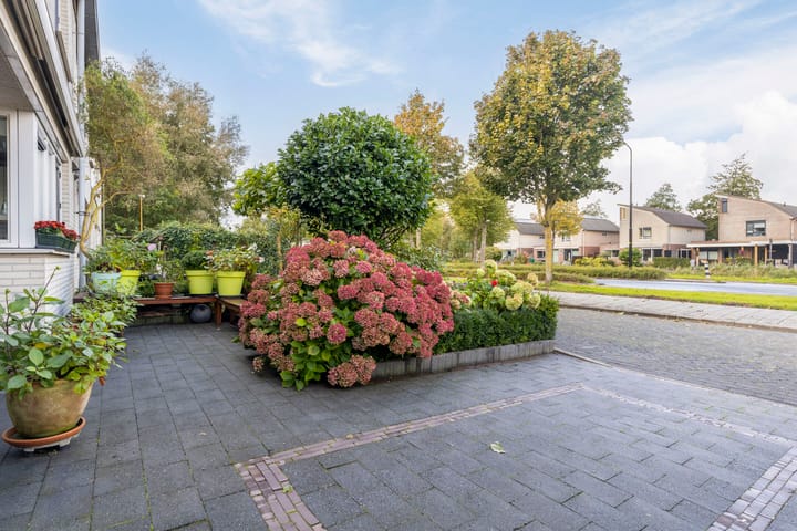 Foto 10 van Bongerd 2