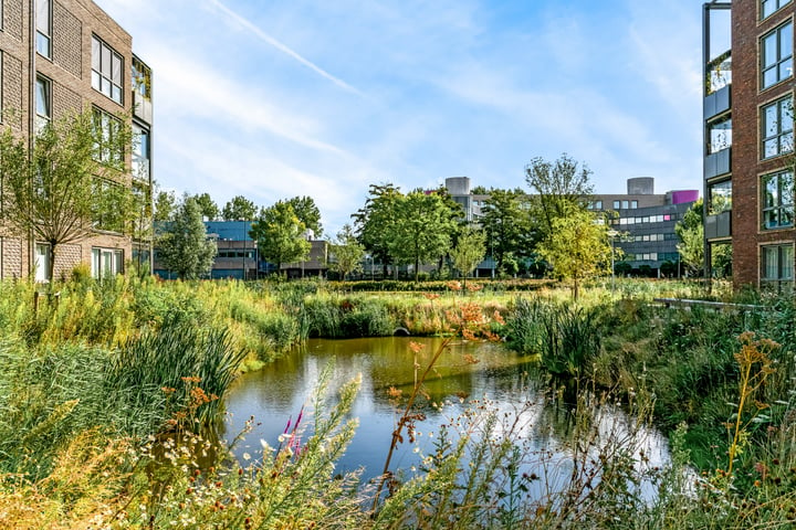 View photo 28 of Kopermolen 233