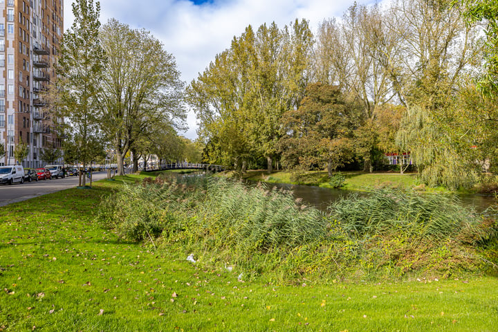 Bekijk foto 16 van Dierenriemstraat 96