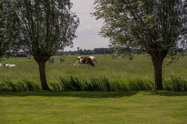 View photo 54 of Rijnsburgerweg 5