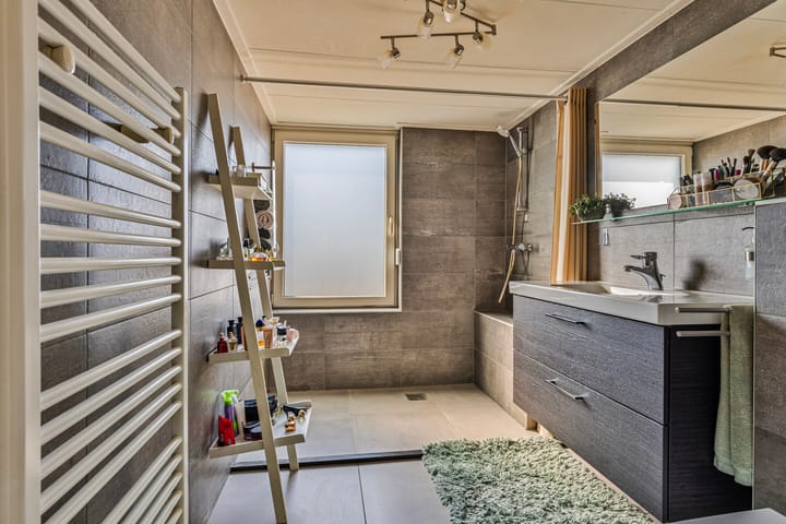 Foto 3 van Bornerbroeksestraat 221