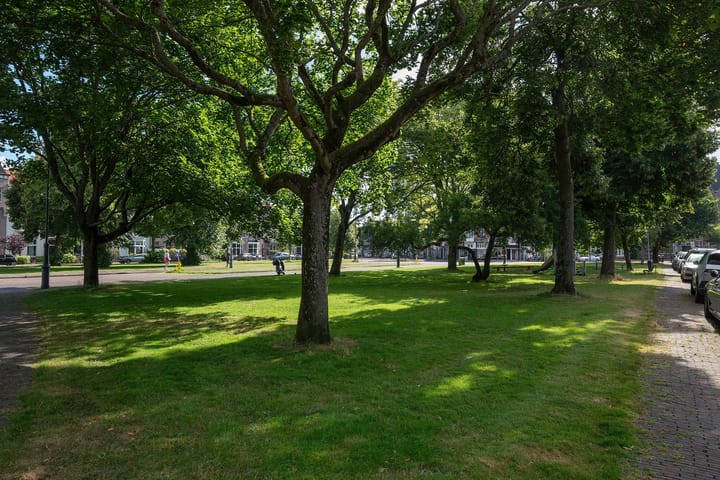 Foto 31 van Kleverparkweg 50