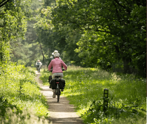 Foto 7 van de Klokkengietery