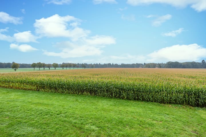 Foto 31 van Vlaamseweg 5