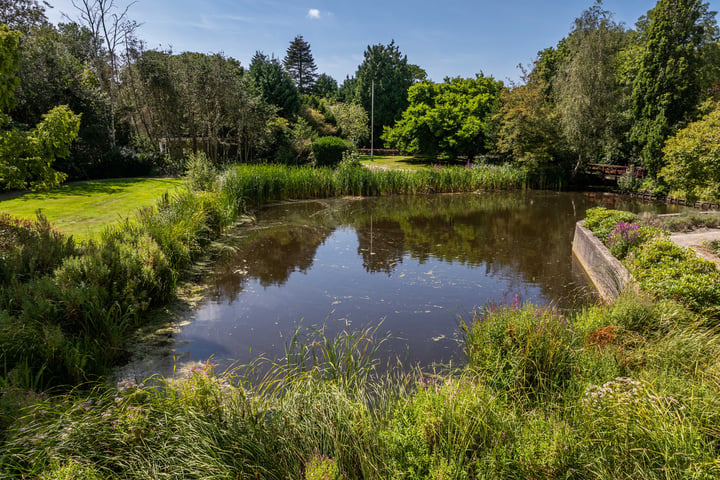 Bekijk foto 20 van Lindenlaan 38-A