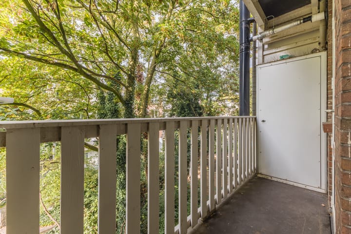 Foto 2 van Van Woustraat 232-2