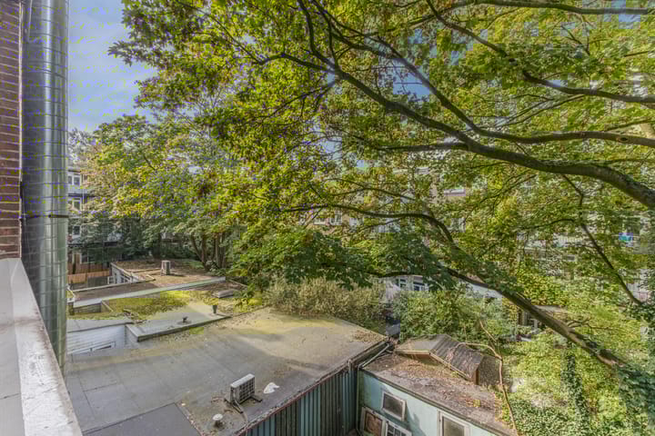 Foto 25 van Van Woustraat 232-2