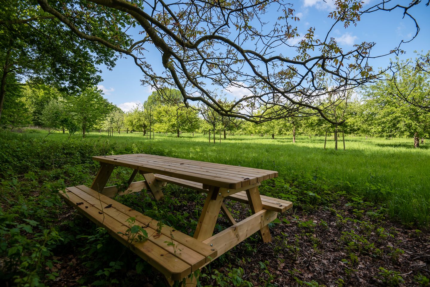 Foto 18 van Tiny houses Dalem