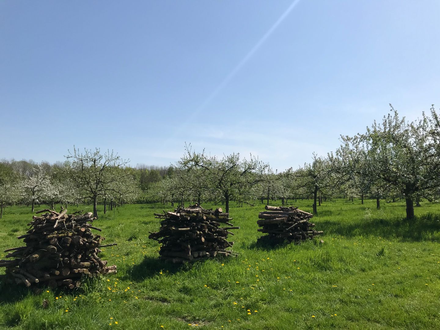 Foto 21 van Tiny houses Dalem