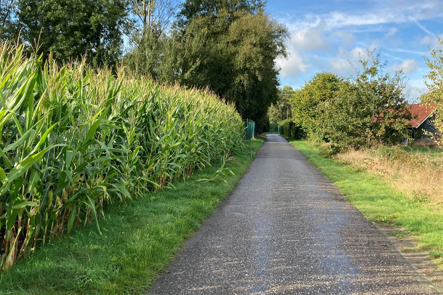 Bekijk foto 4 van Begijnhofweg