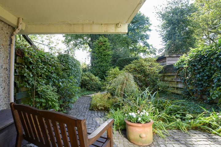 Foto 5 van Dalmatië 56