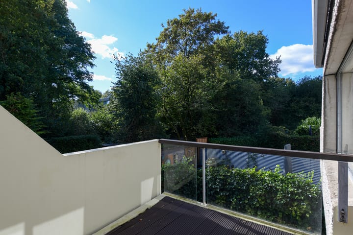 Foto 7 van Dalmatië 56