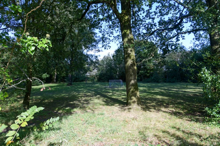 Foto 30 van Dalmatië 56