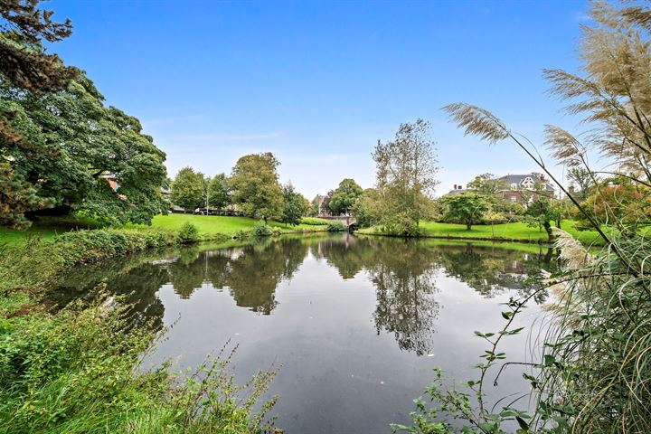 Bekijk foto 36 van Stadhoudersplantsoen 10-B