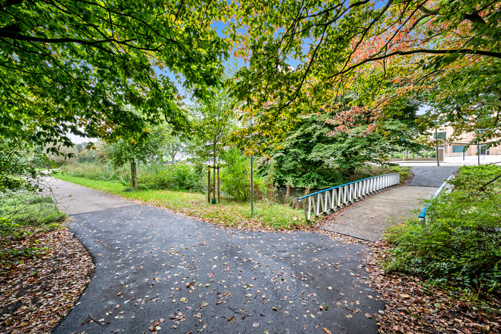 Bekijk foto 39 van Stadhoudersplantsoen 10-B