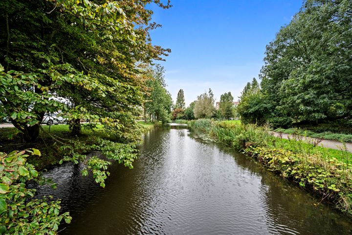 Bekijk foto 40 van Stadhoudersplantsoen 10-B