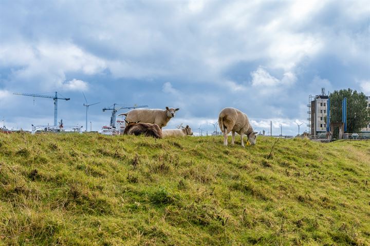 Bekijk foto 15 van Nieuweweg 2