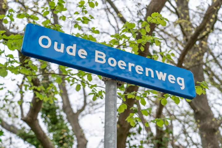 Bekijk foto 4 van Oude Boerenweg 3