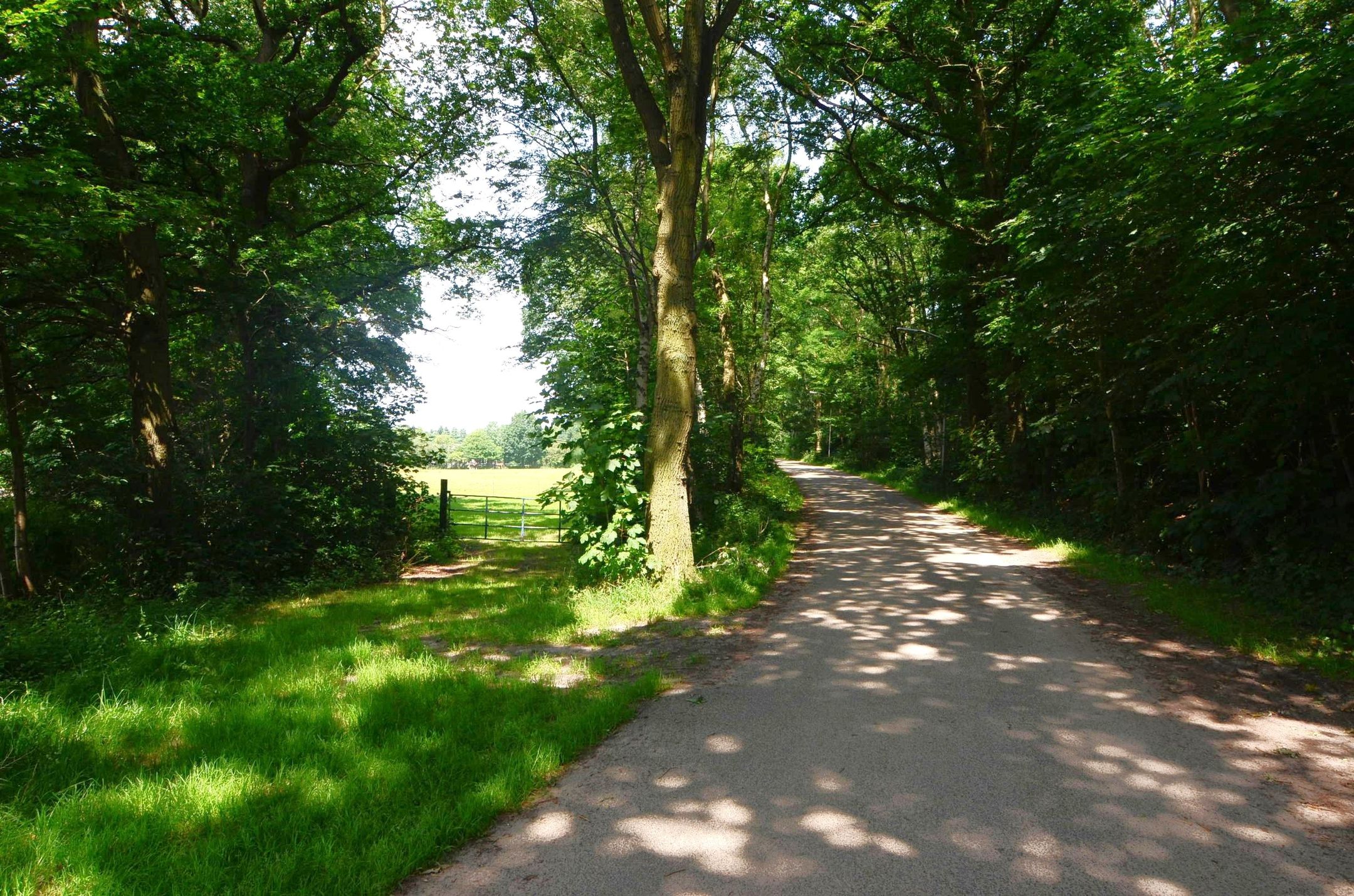 Foto 6 van Oude Boerenweg 3