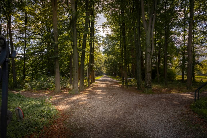 View photo 40 of Diepenveenseweg 1-B