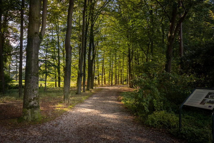 View photo 39 of Diepenveenseweg 1-B