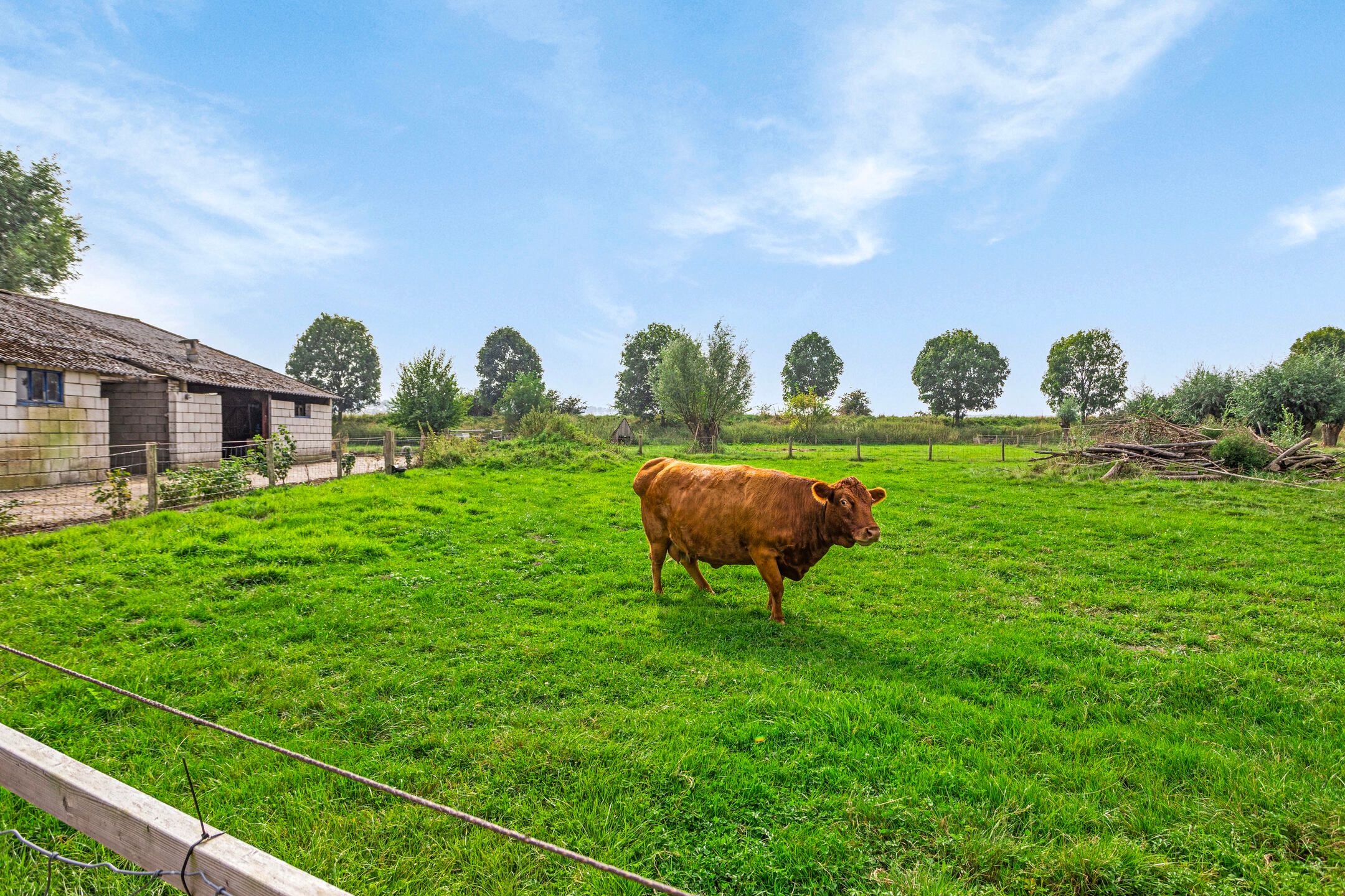 Foto 63 van Isabellaweg 16