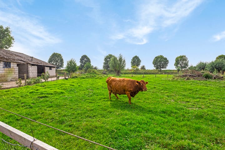 Foto 63 van Isabellaweg 16