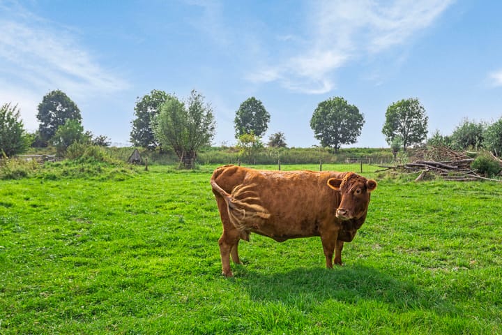 Foto 64 van Isabellaweg 16