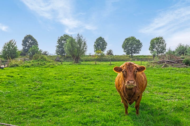 Foto 65 van Isabellaweg 16