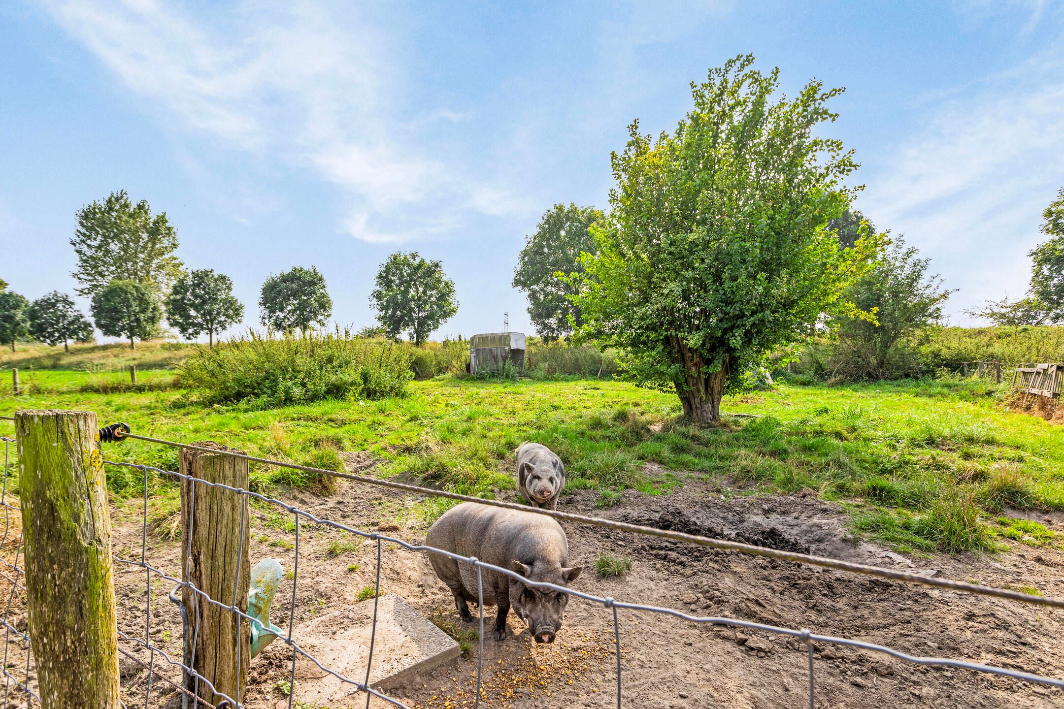 Foto 66 van Isabellaweg 16