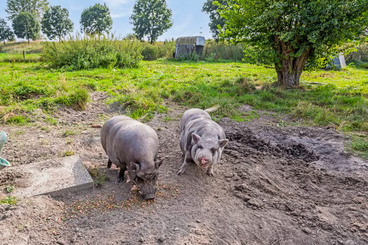 Foto 67 van Isabellaweg 16