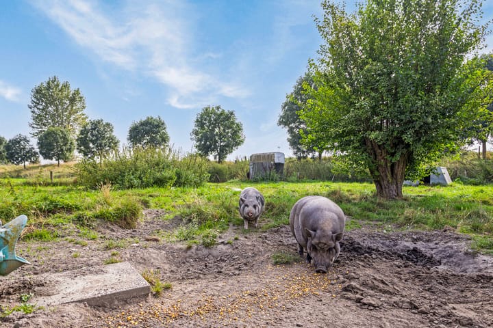 Foto 68 van Isabellaweg 16