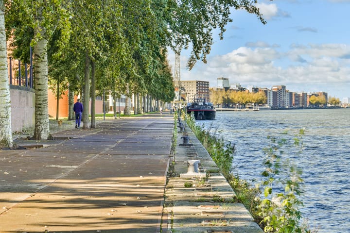 Photo 26 of Venetiëhof 103