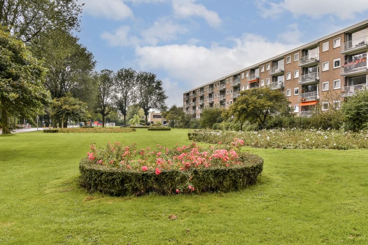 Foto 25 van Bijdorp 77