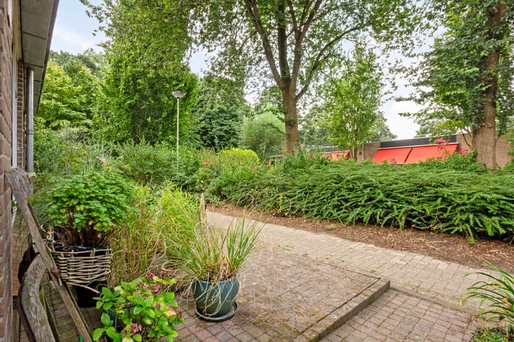 Foto 30 van Duiker 24