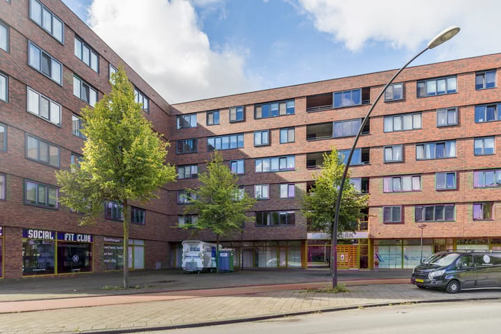 Foto 4 van Laan van Wateringse Veld 863