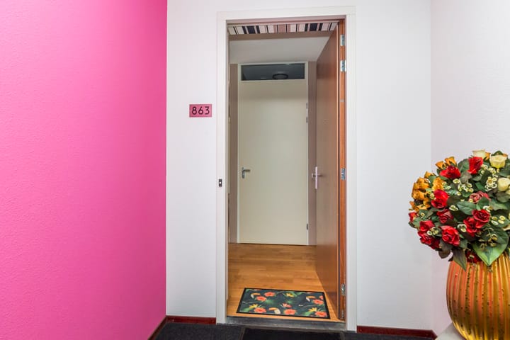 Foto 5 van Laan van Wateringse Veld 863