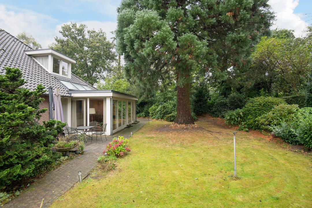 Foto 22 van De Zoom 3