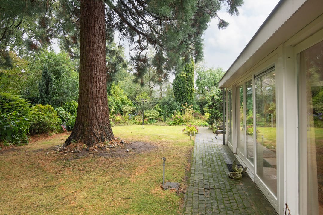 Foto 23 van De Zoom 3