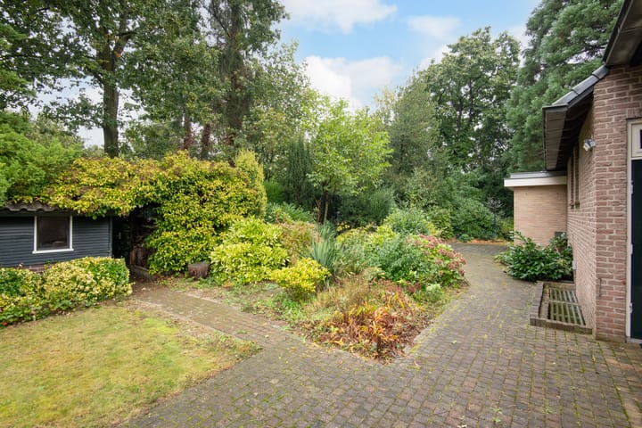 Foto 26 van De Zoom 3